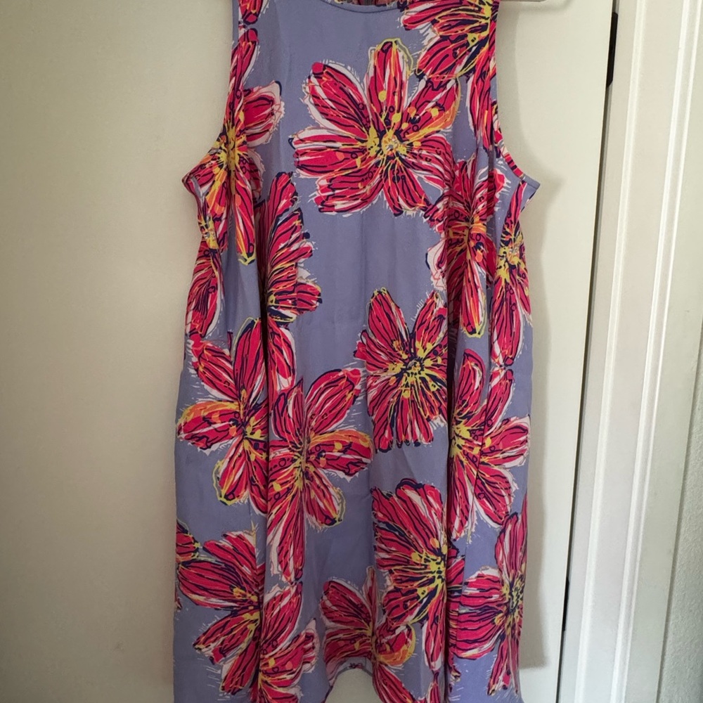 Lilly Pulitzer HTF & Holy Grail Molly Haynes Dress. SZ Large